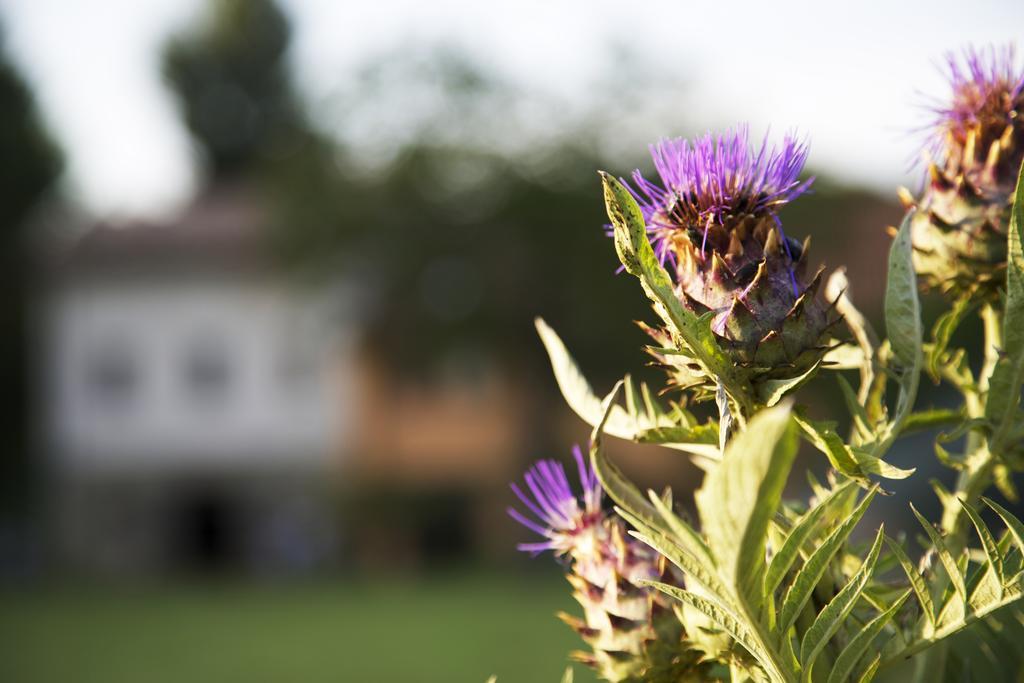 B&B Ca' De Taruffi Sasso Marconi Buitenkant foto