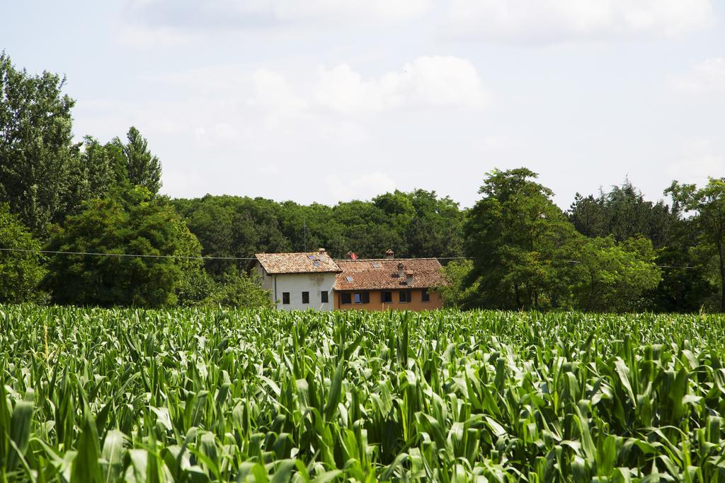 B&B Ca' De Taruffi Sasso Marconi Buitenkant foto
