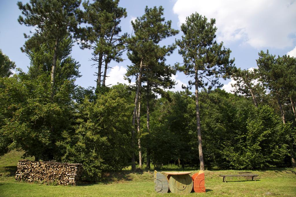 B&B Ca' De Taruffi Sasso Marconi Buitenkant foto